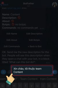 tạo dòng mô tả cho Bot trên Telegram 5