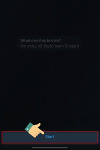 tạo dòng mô tả cho Bot trên Telegram 7