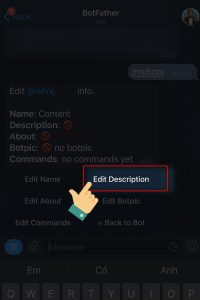 tạo dòng mô tả cho Bot trên Telegram 4