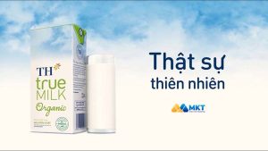 Phân tích ma trận efe của TH True Milk