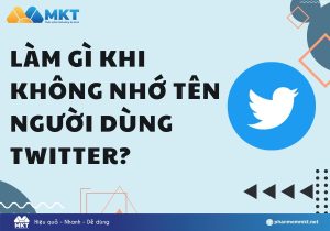 Làm gì khi không nhớ tên người dùng Twitter?